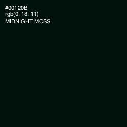 #00120B - Midnight Moss Color Image